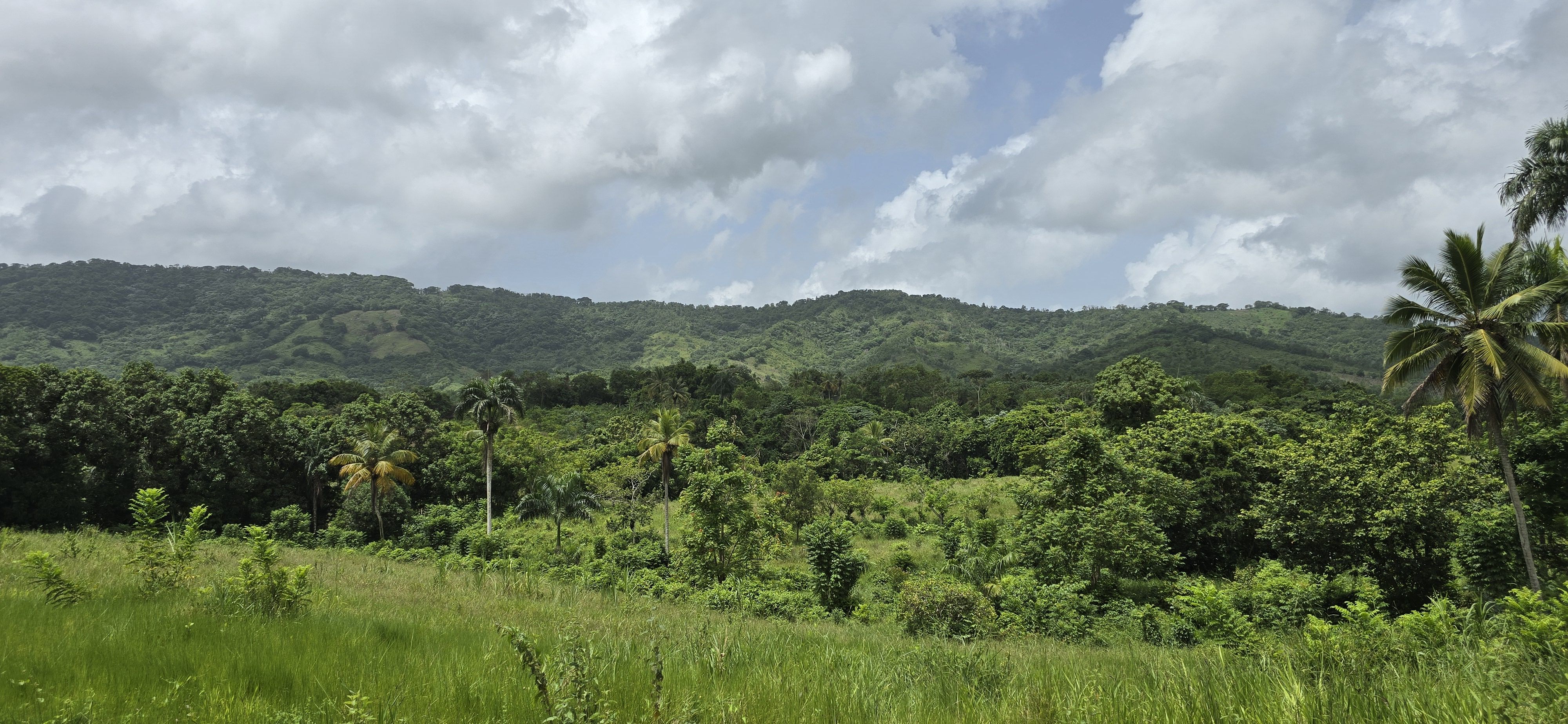 solares y terrenos - Terreno en Venta en Hato Viejo Yamasá desde 1,000 Mts, con vista hacia el Rio  7