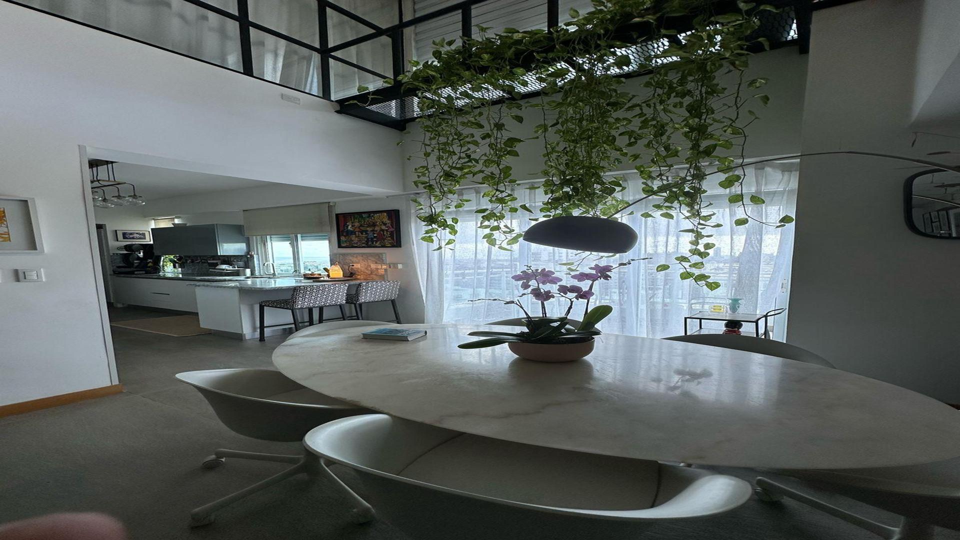 penthouses - VENTA PENTHOUSE EN LA ESPERILLA 270 MTS 8