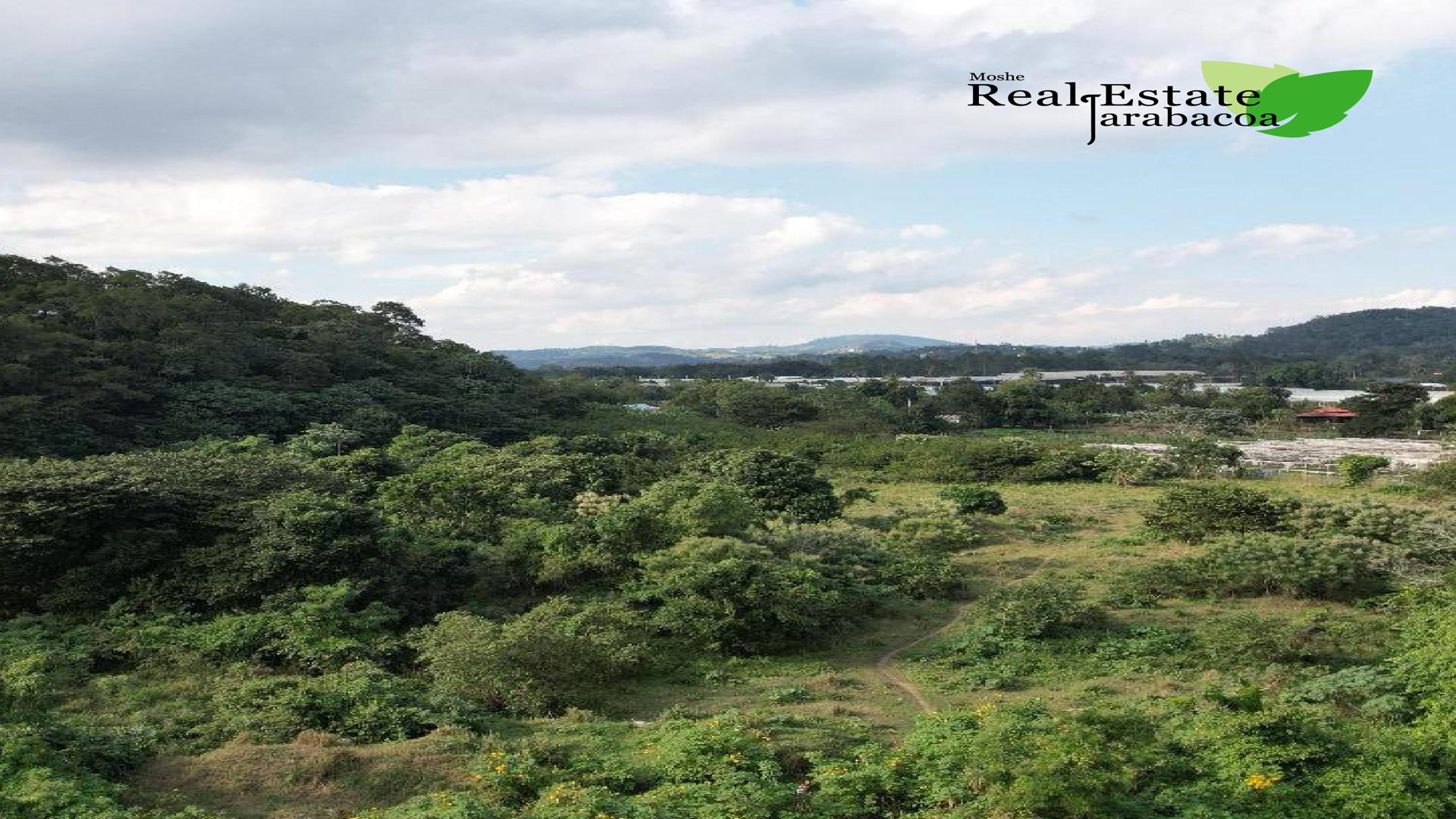 solares y terrenos - Terreno en venta en Jarabacoa 2