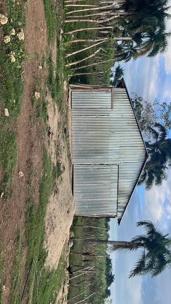 solares y terrenos - Vendo terreno en San Pedro de macoris 
1,500 tarea  1