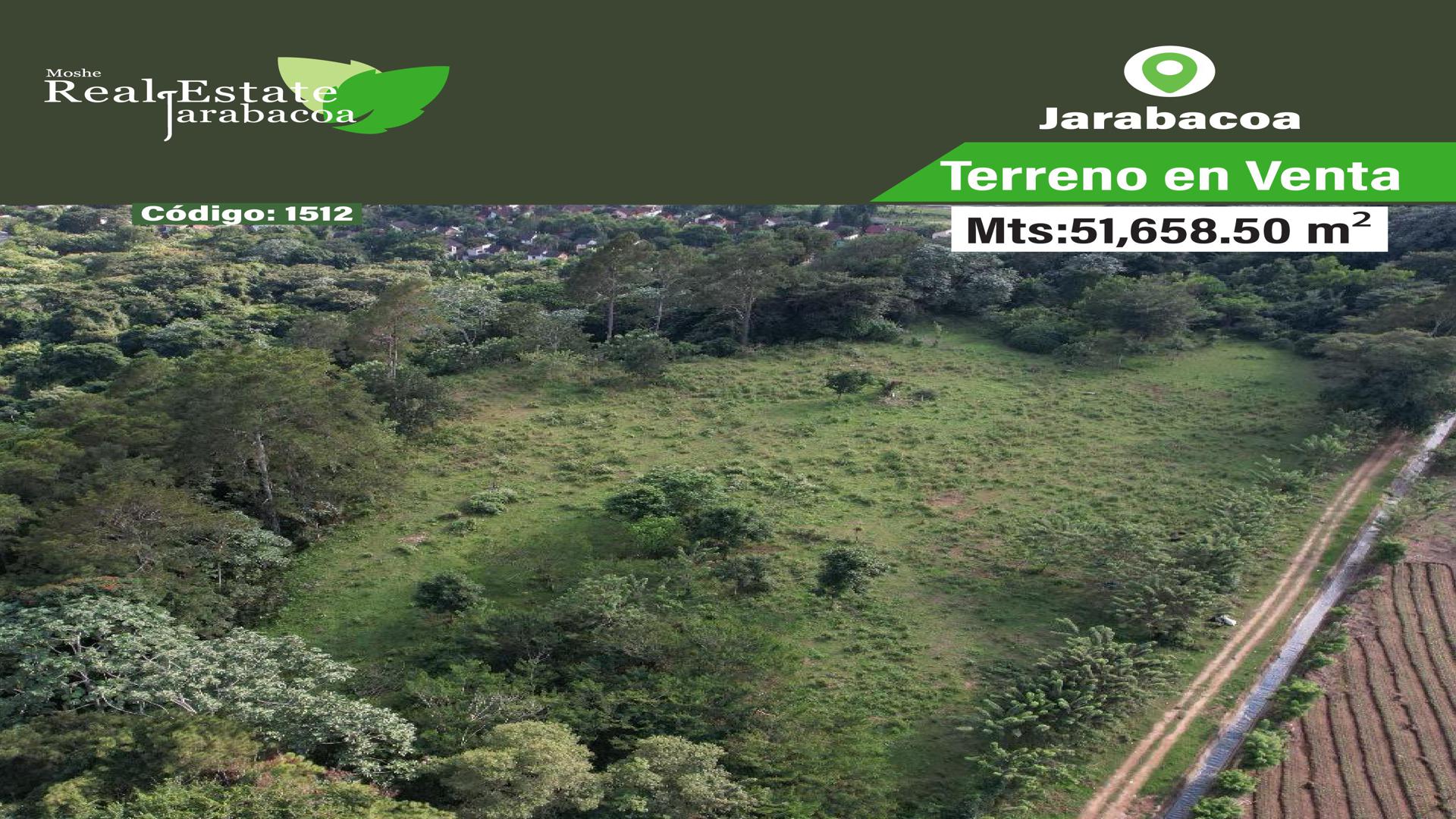 solares y terrenos - Terreno en venta en Jarabacoa