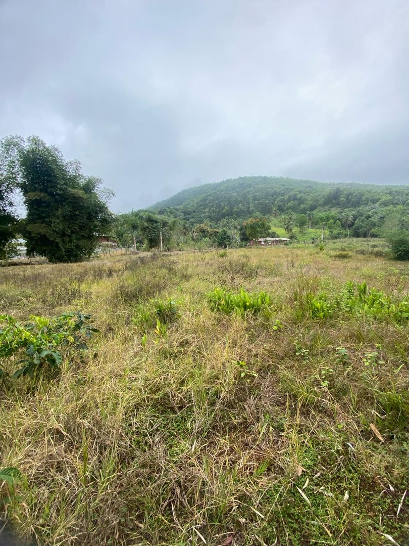 solares y terrenos -  Para amantes de la naturaleza Vendo Terreno en la cumbre de Villa Altagracia.