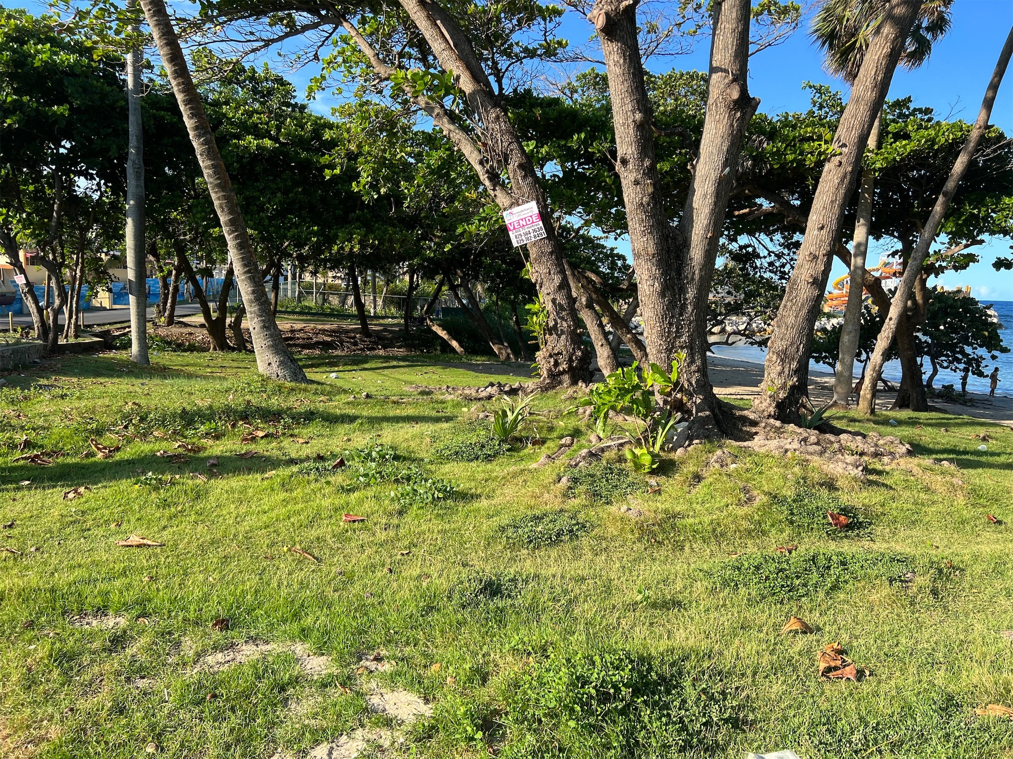 solares y terrenos - Solar para gran proyecto o casa de playa un gran paraíso 9