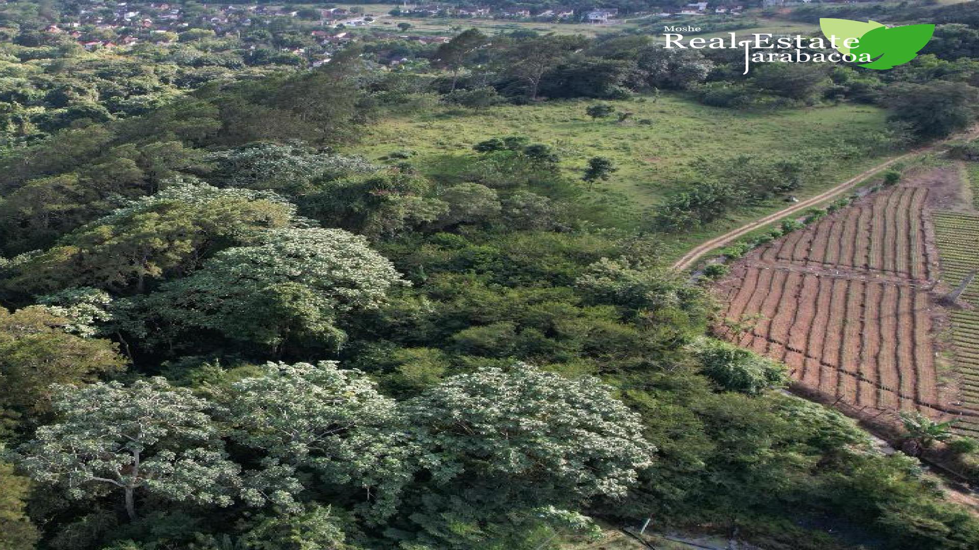 solares y terrenos - Terreno en venta en Jarabacoa 3