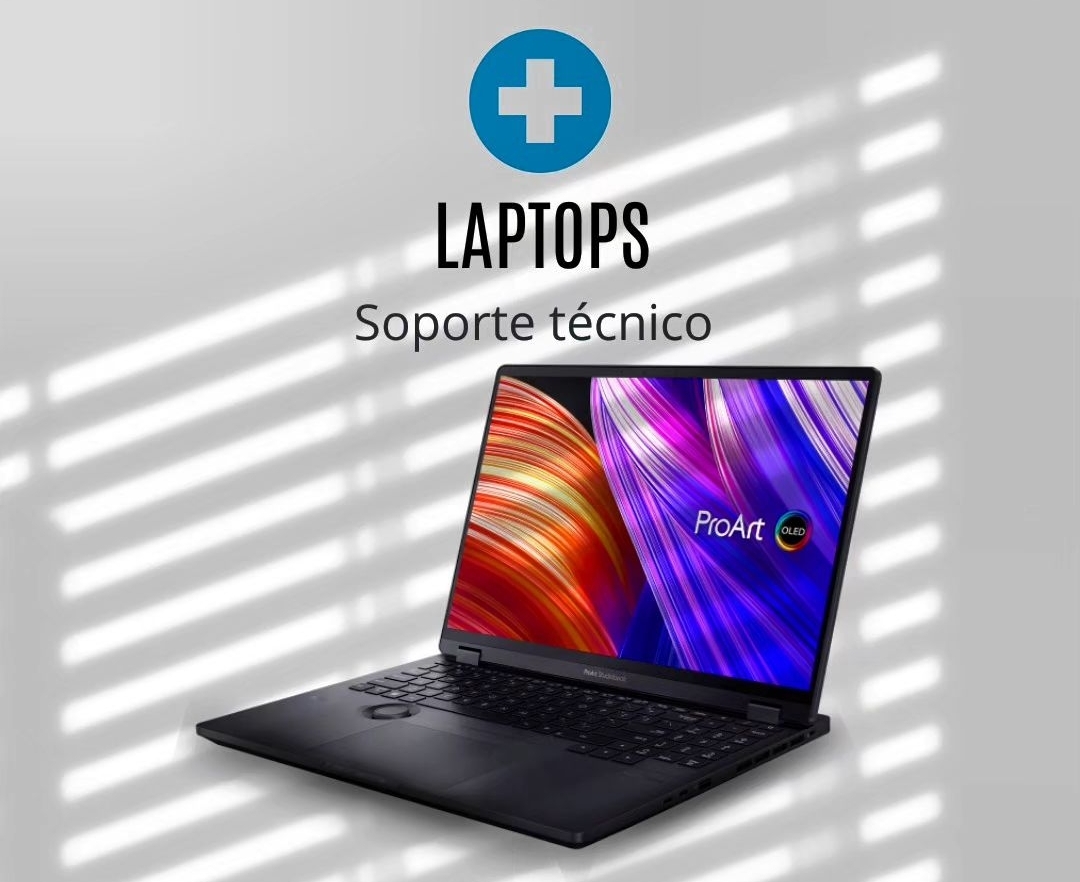 servicios profesionales - Reparación y mantenimiento de Laptops 