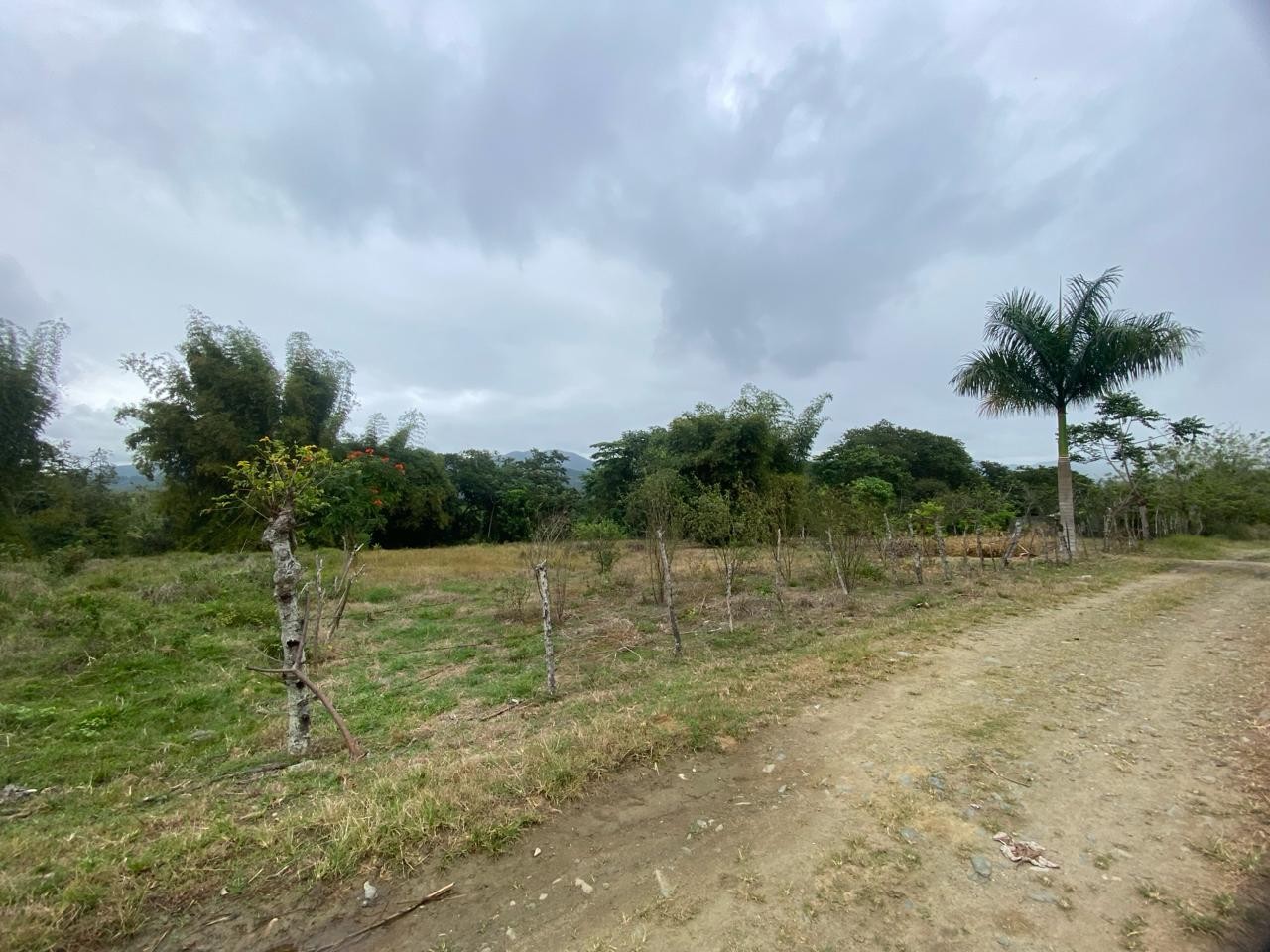 solares y terrenos -  Para amantes de la naturaleza Vendo Terreno en la cumbre de Villa Altagracia. 2