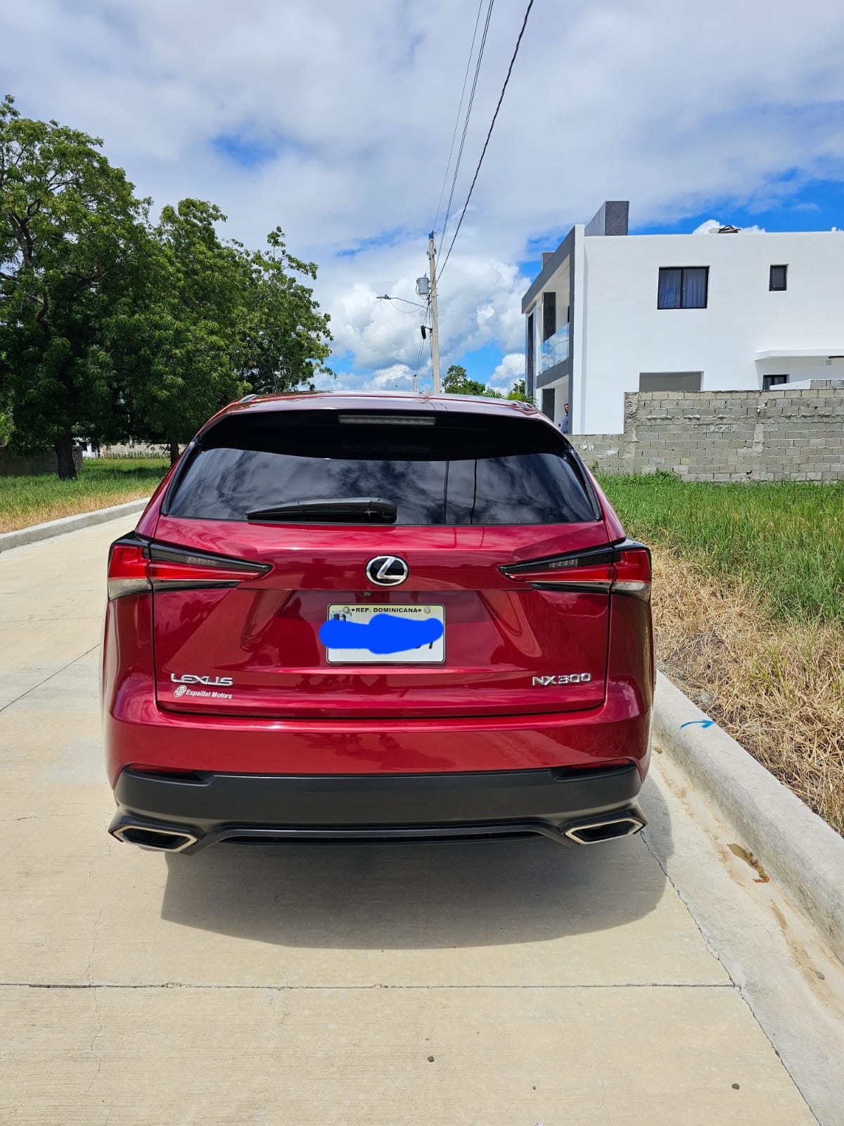 jeepetas y camionetas - lexus nx 300 2018 1