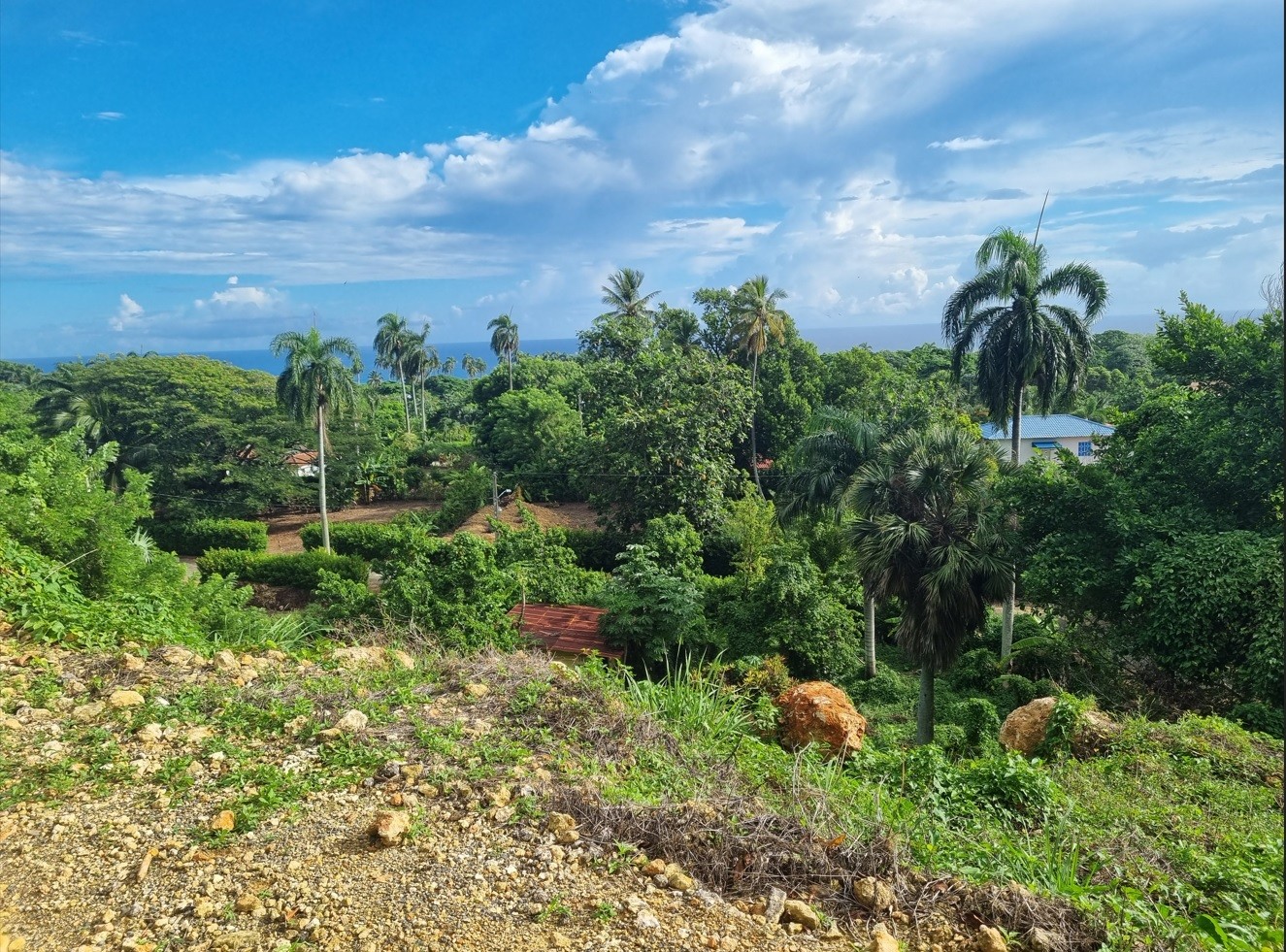 solares y terrenos - Vendo Solar en Oasis Cabo Frances ideal para construir la casa de tus sueños