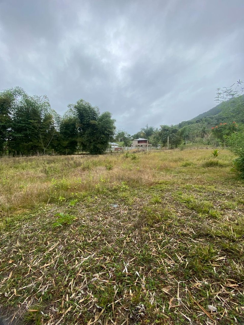 solares y terrenos -  Para amantes de la naturaleza Vendo Terreno en la cumbre de Villa Altagracia. 3