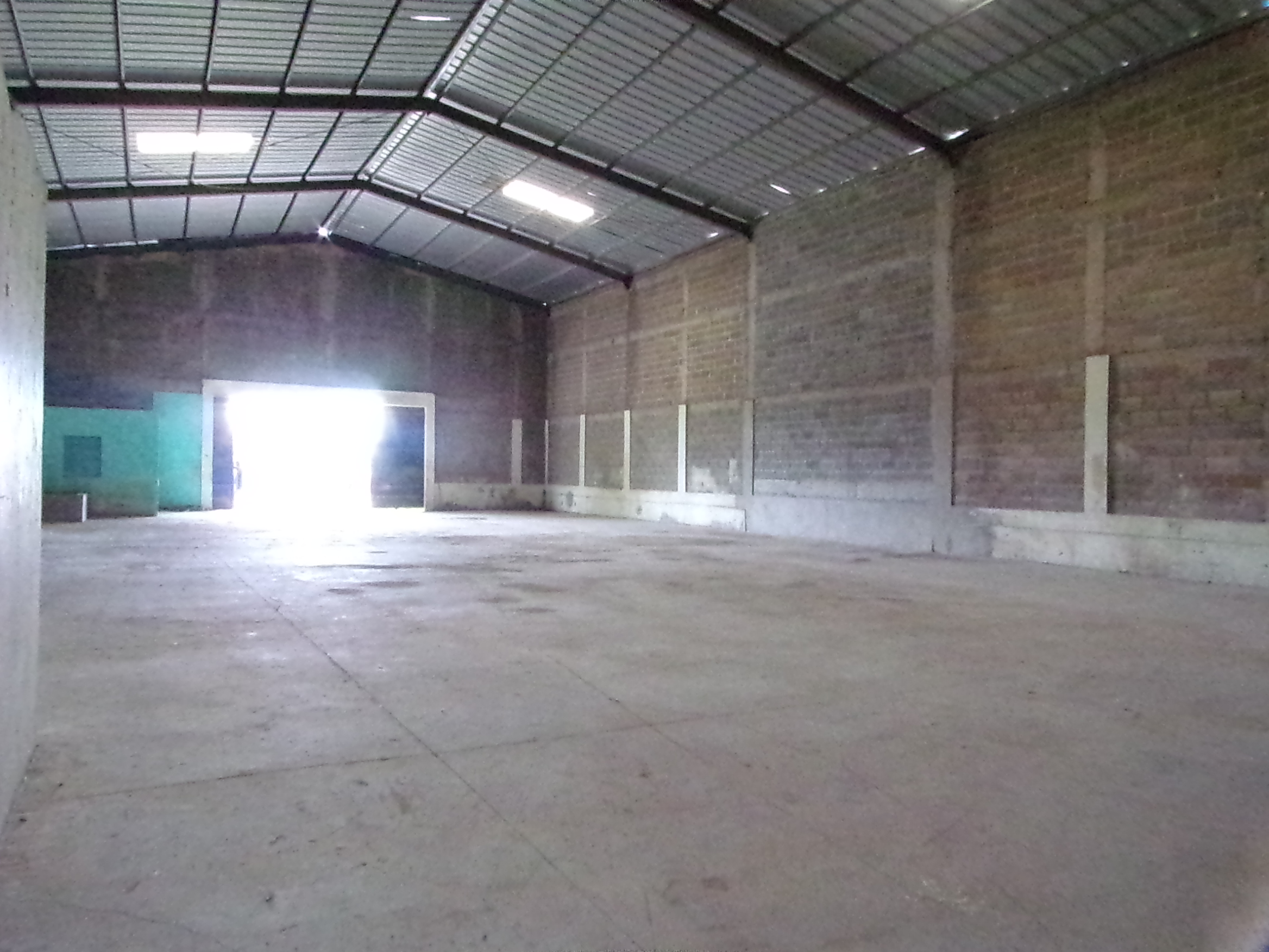 oficinas y locales comerciales - Naves industriales 225m² y 450m² en Boca Chica 7