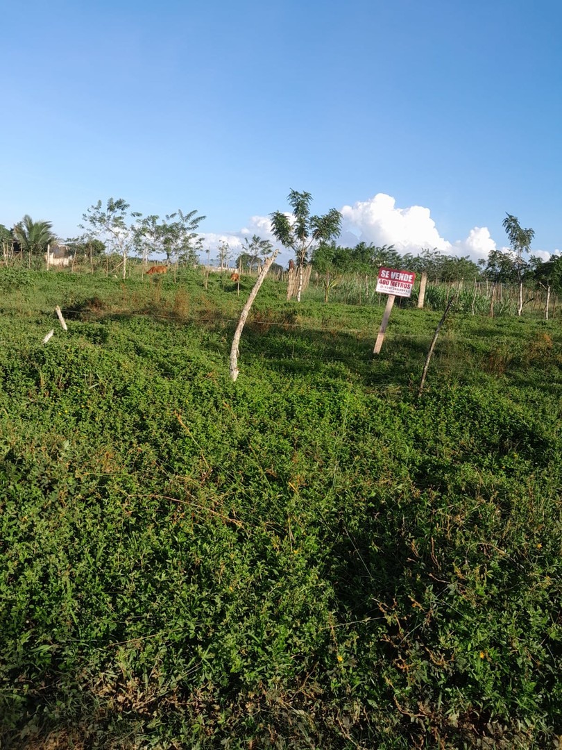 solares y terrenos - ¡Oportunidad Única de Inversión!  Venta de Solar en María Trinidad Sánchez, RD 3