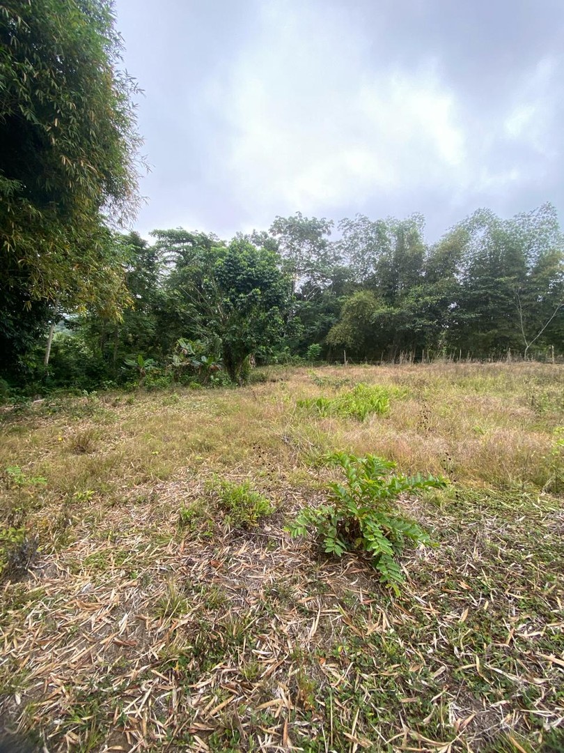 solares y terrenos -  Para amantes de la naturaleza Vendo Terreno en la cumbre de Villa Altagracia. 7