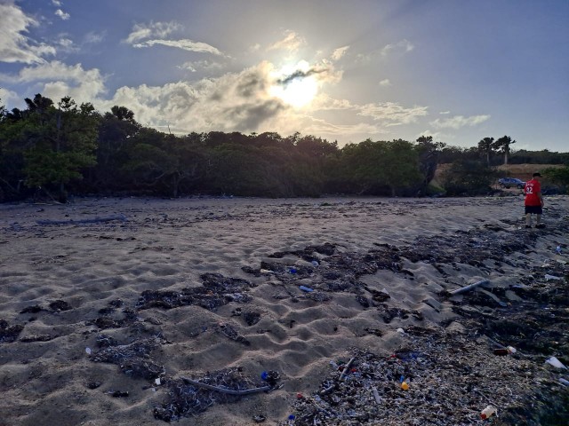 solares y terrenos - Excelente terreno con un kilómetro de playa ideal para proyecto  2