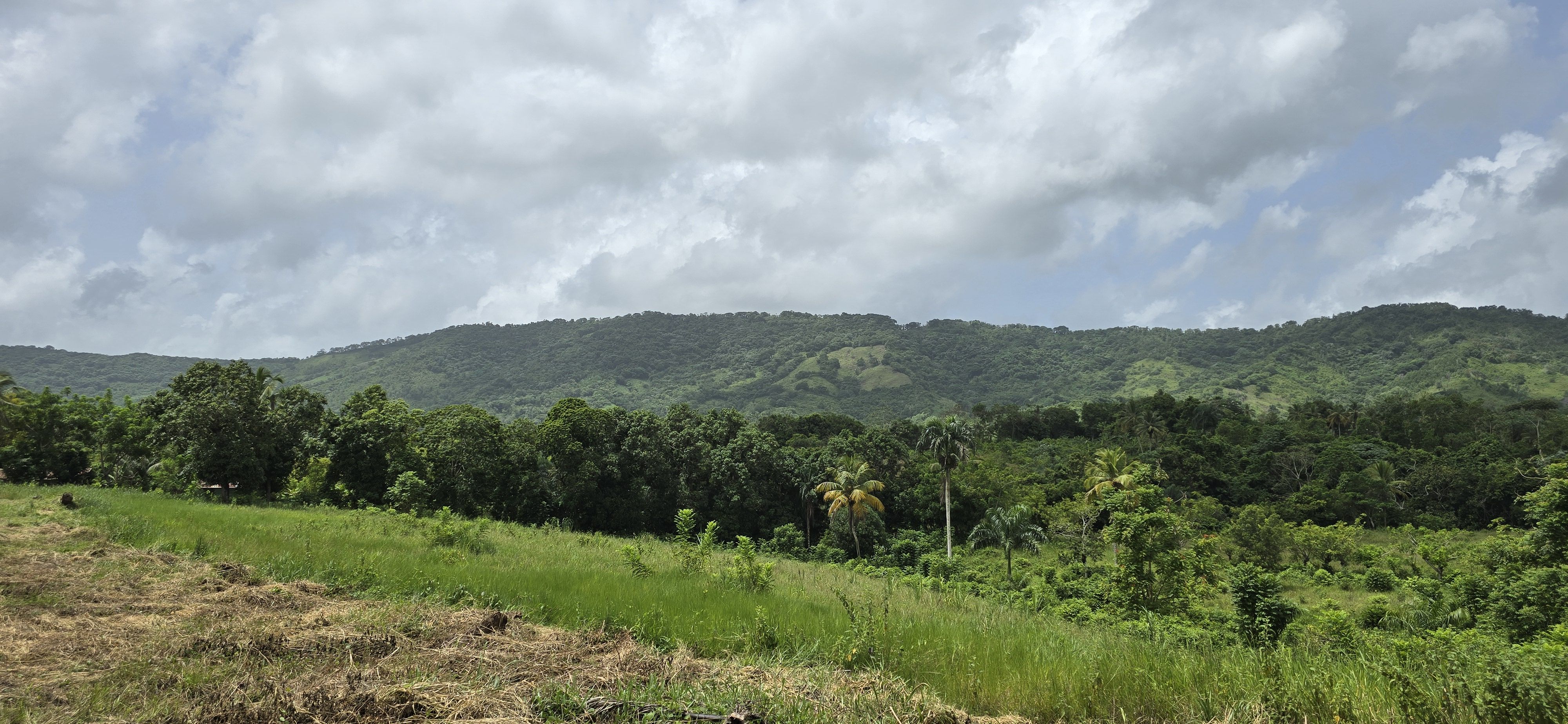 solares y terrenos - Terreno en Venta en Hato Viejo Yamasá desde 1,000 Mts, con vista hacia el Rio  2