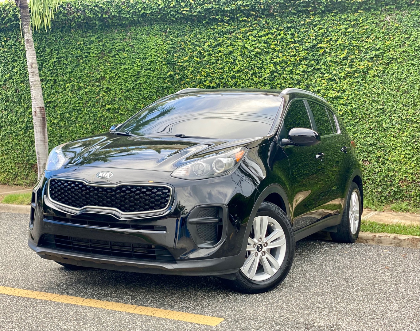 jeepetas y camionetas - Kia Sportage 2017 1