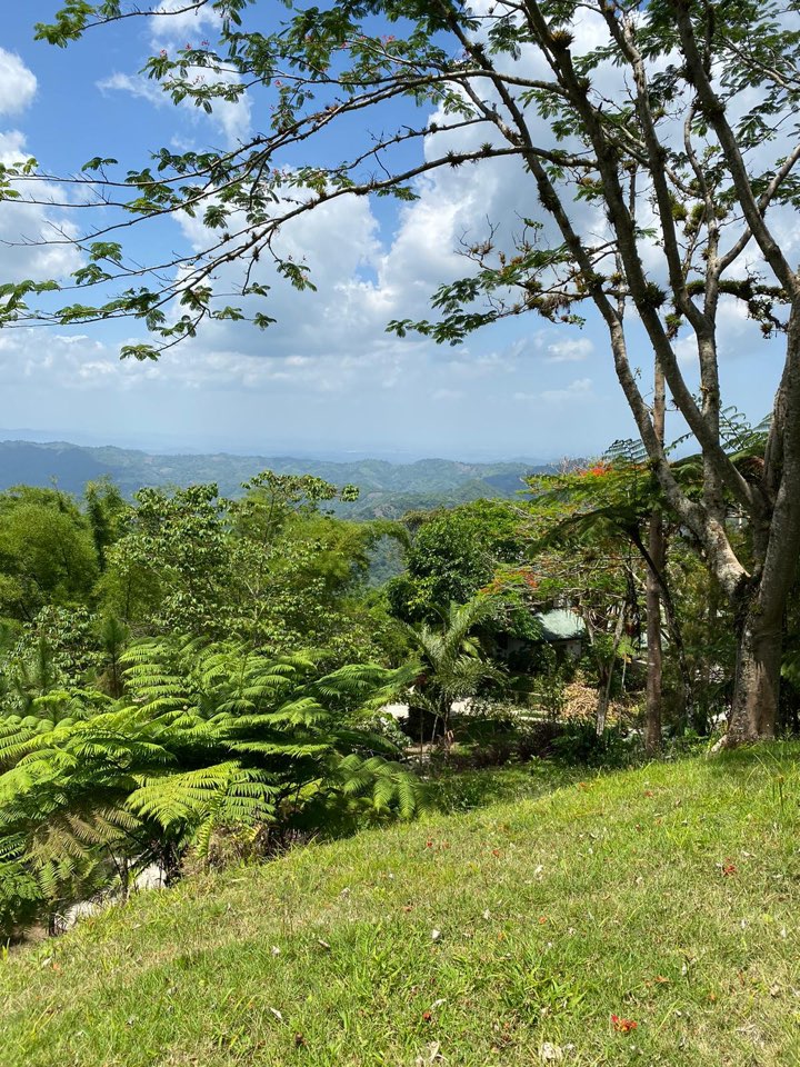 solares y terrenos - Vendo terreno en la montaña de San Cristobal La colonia  3