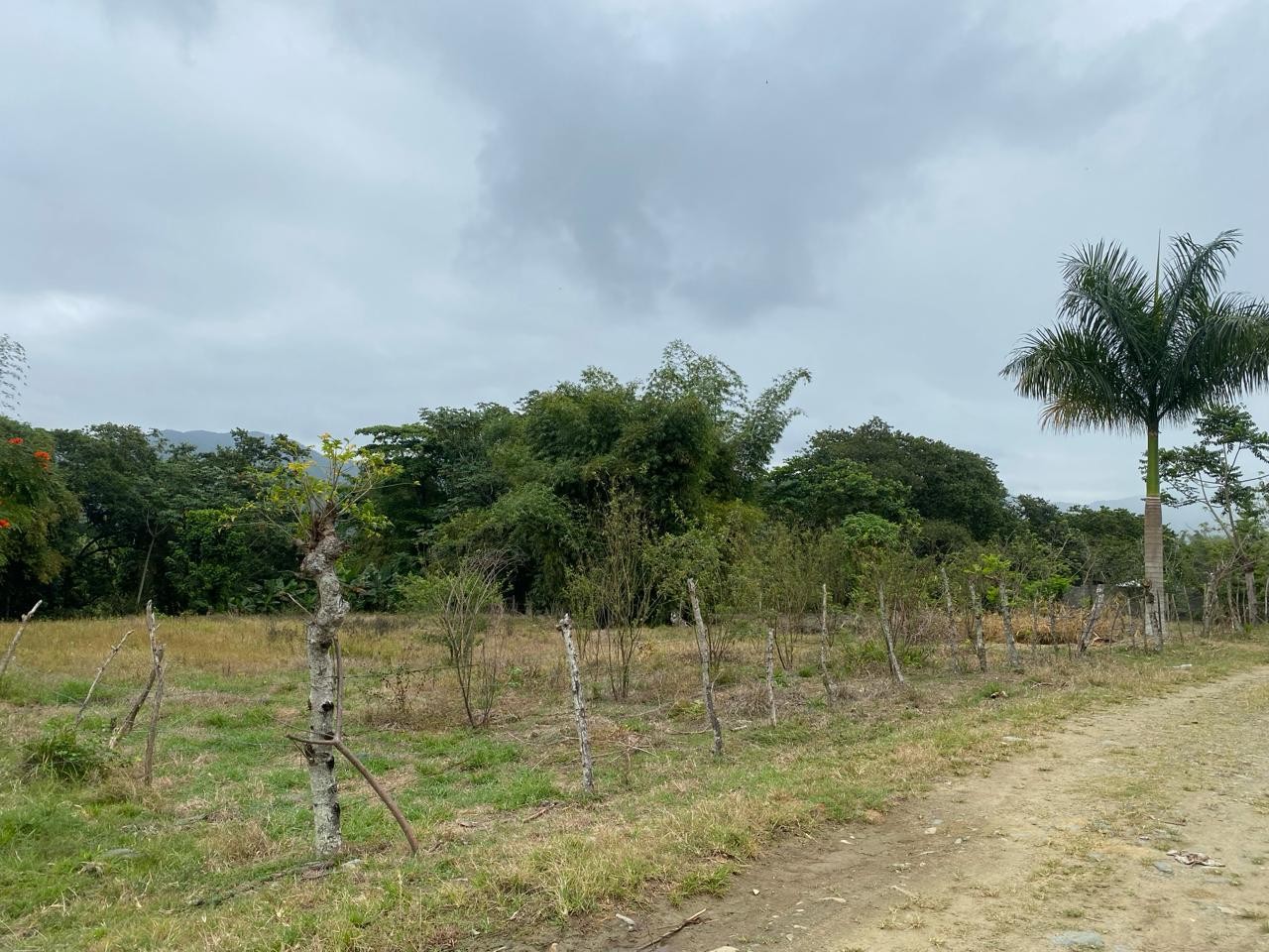 solares y terrenos -  Para amantes de la naturaleza Vendo Terreno en la cumbre de Villa Altagracia. 4