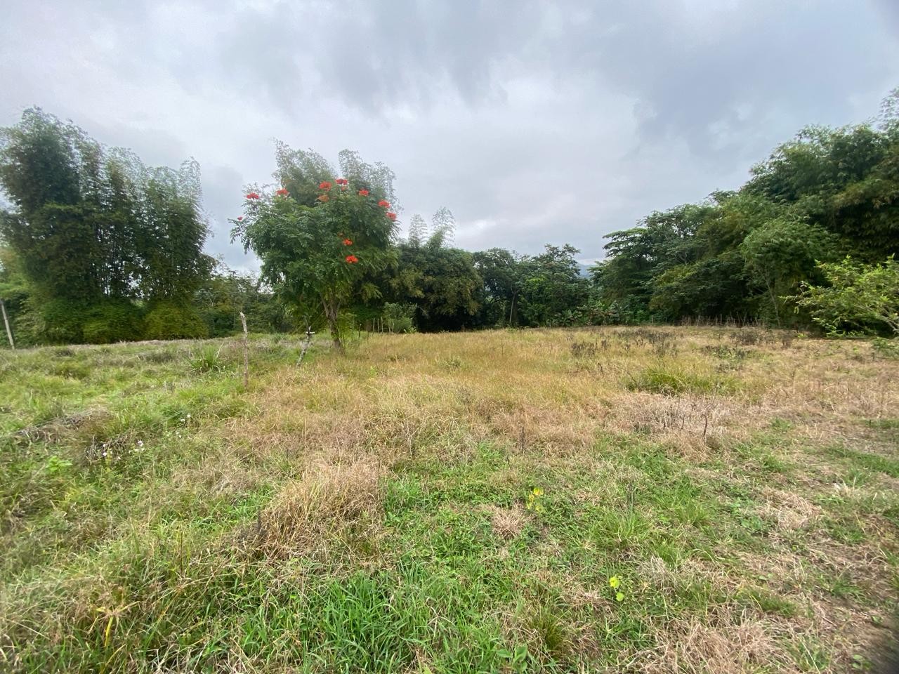 solares y terrenos -  Para amantes de la naturaleza Vendo Terreno en la cumbre de Villa Altagracia. 5