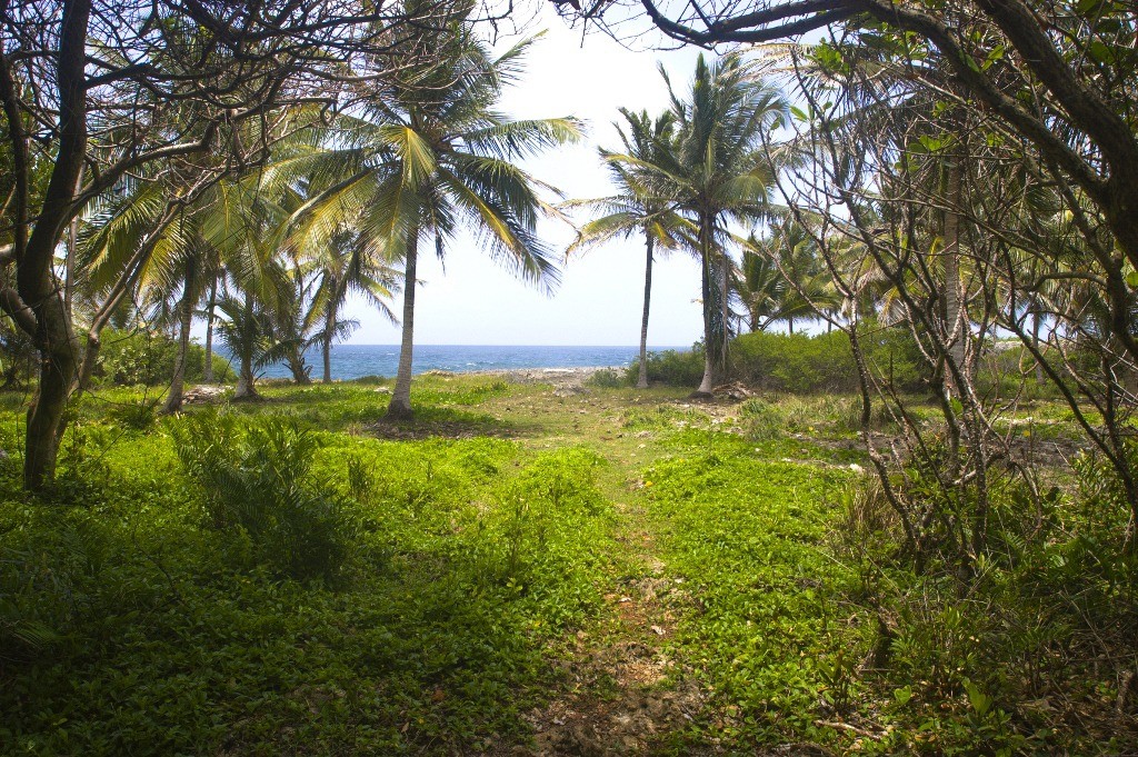 solares y terrenos - Frente Al Mar Talanguera El Frances, Las Galeras/Samana 3