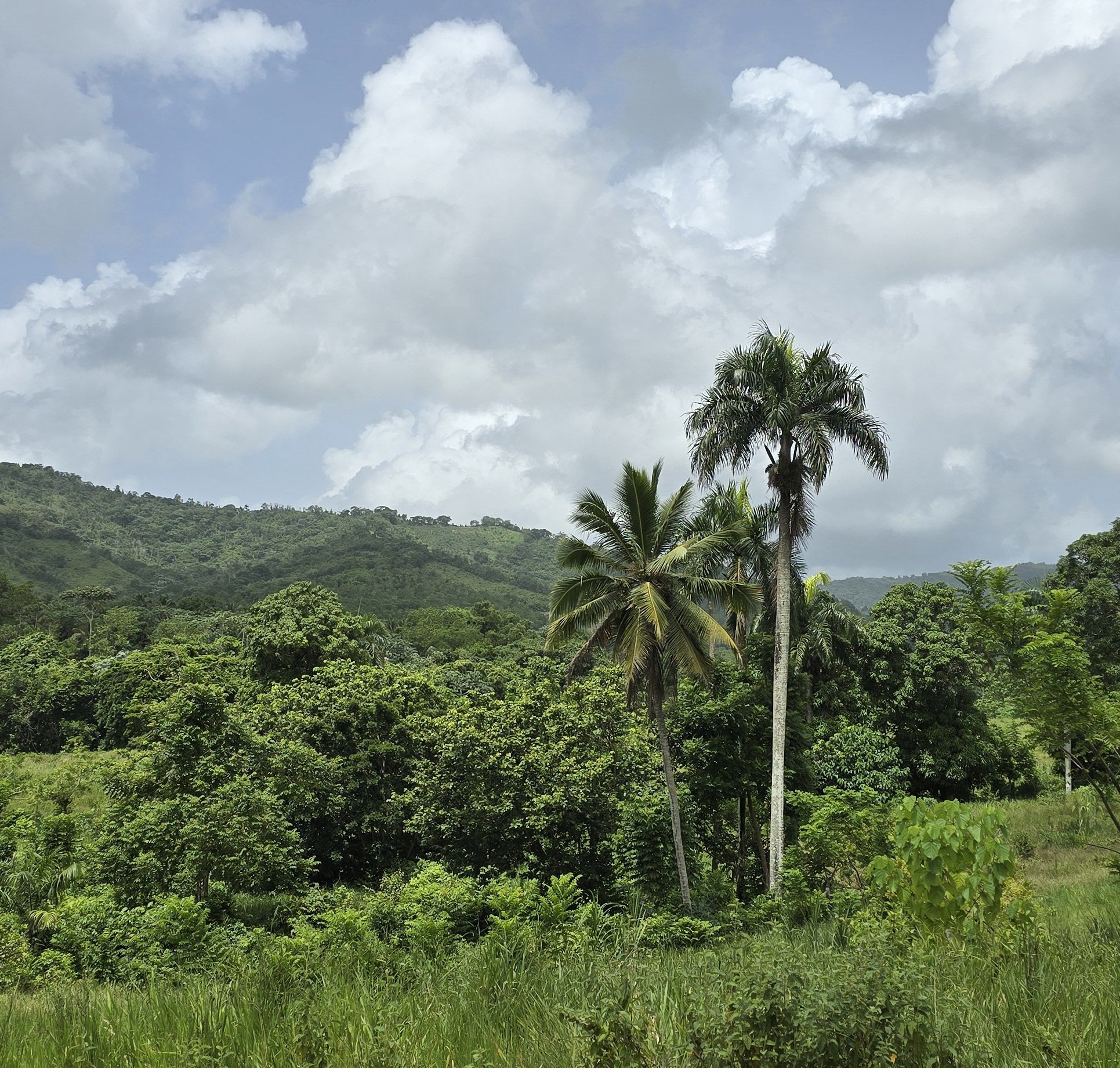 solares y terrenos - Terreno en Venta en Hato Viejo Yamasá desde 1,000 Mts, con vista hacia el Rio 