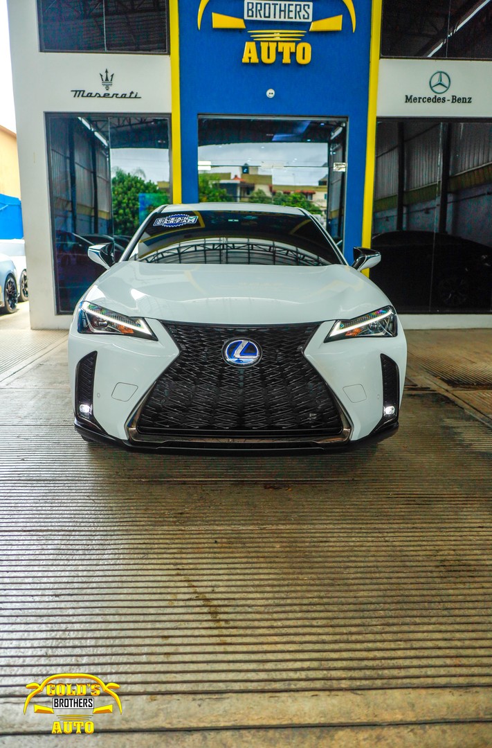 carros - Lexus UX 250h F-Sport 2022 1