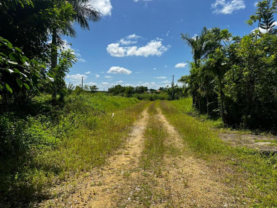 solares y terrenos - Terreno en Venta en LAS FLORES 6