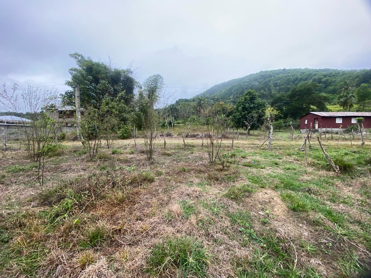 solares y terrenos -  Para amantes de la naturaleza Vendo Terreno en la cumbre de Villa Altagracia. 6