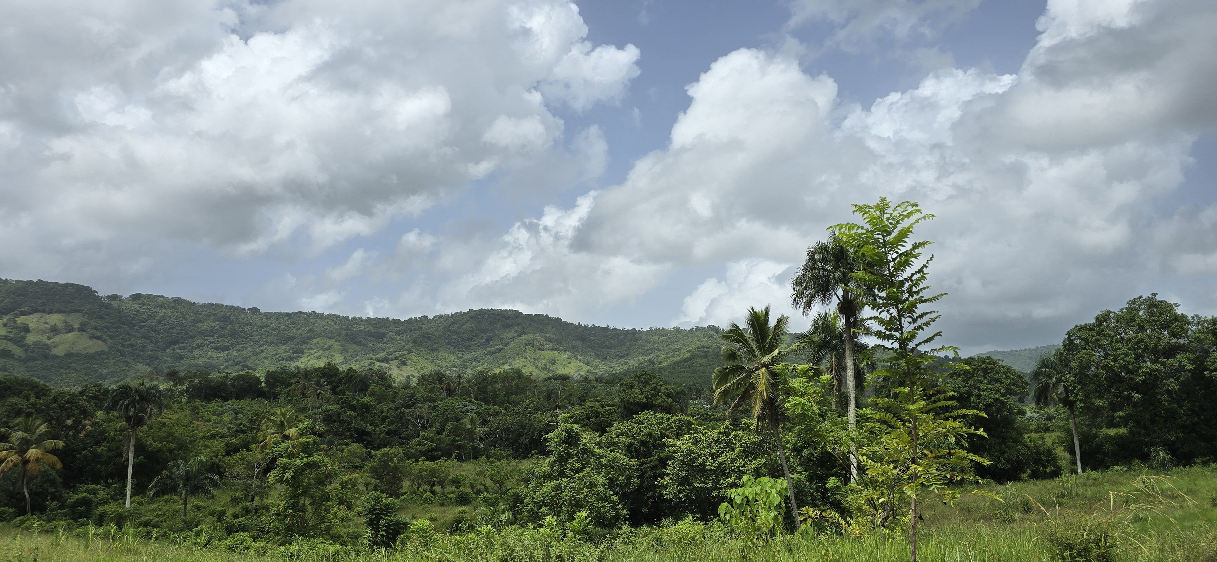 solares y terrenos - Terreno en Venta en Hato Viejo Yamasá desde 1,000 Mts, con vista hacia el Rio  1