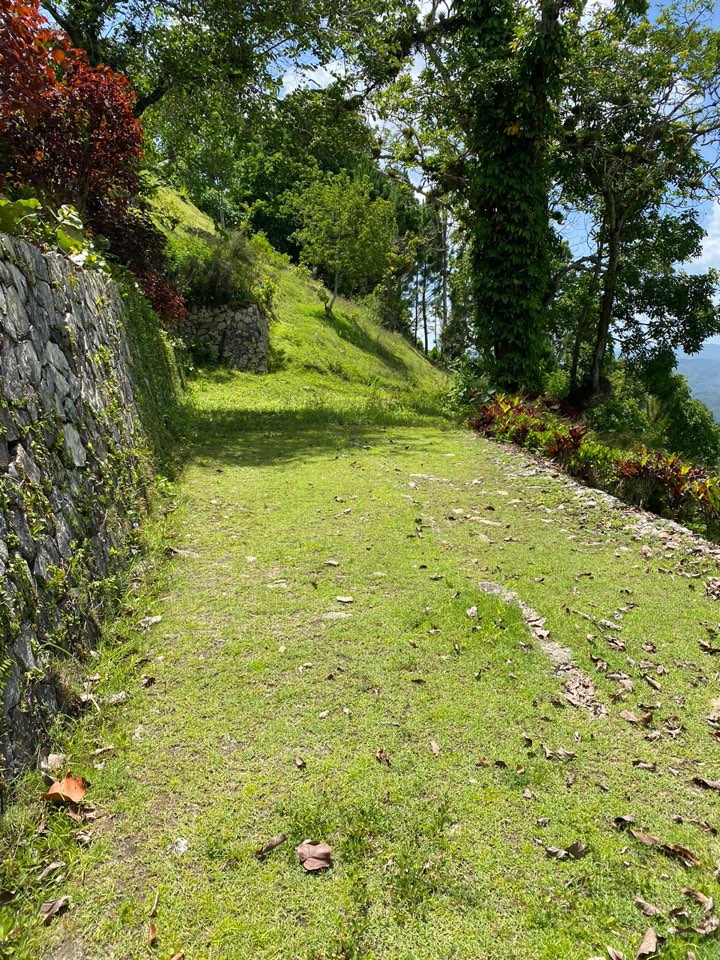 solares y terrenos - Vendo terreno en la montaña de San Cristobal La colonia  2