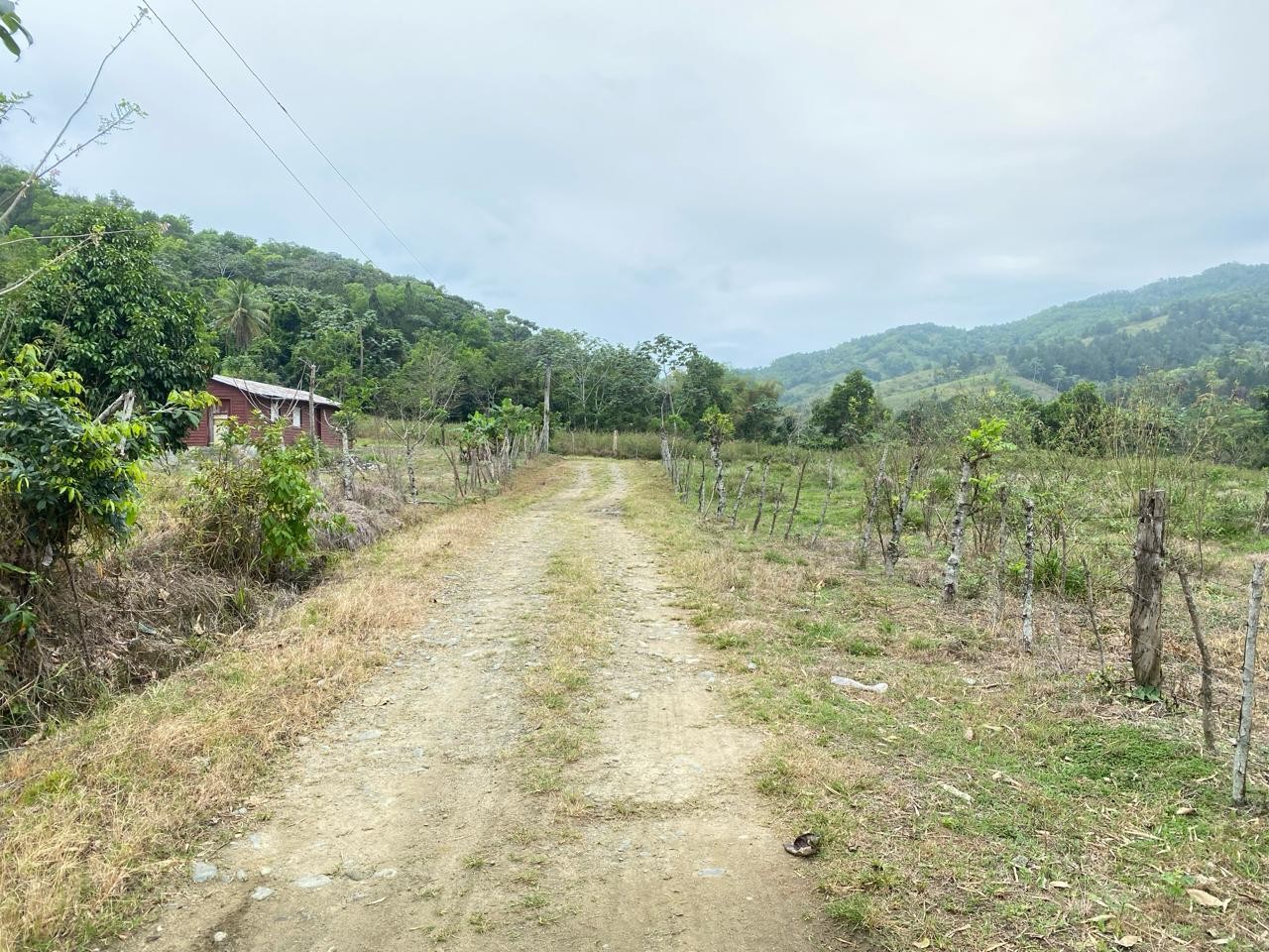 solares y terrenos -  Para amantes de la naturaleza Vendo Terreno en la cumbre de Villa Altagracia. 8