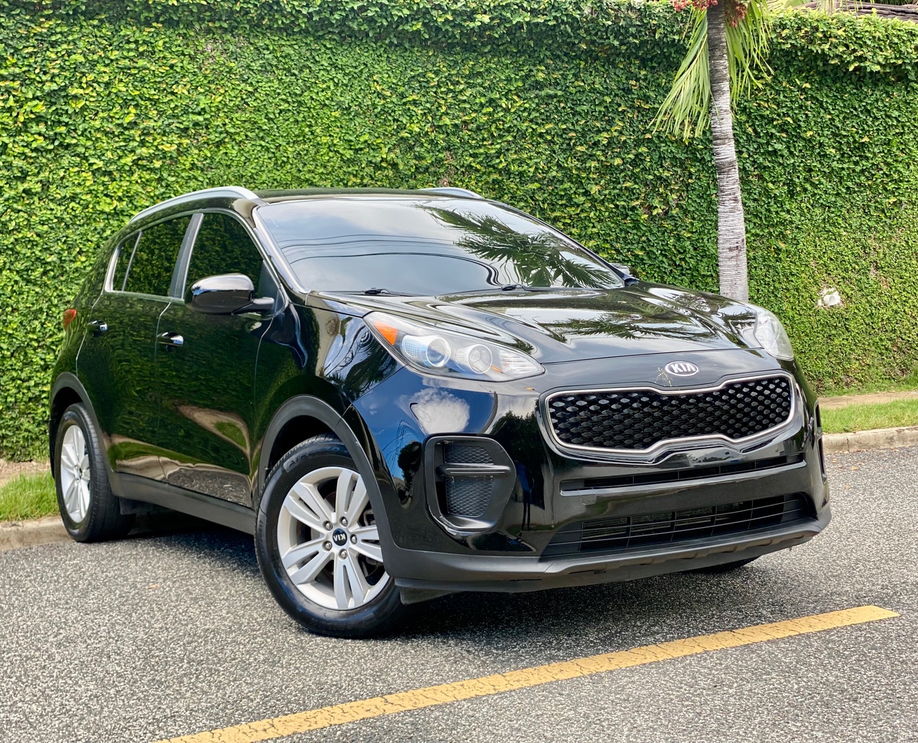 jeepetas y camionetas - Kia Sportage 2017 2