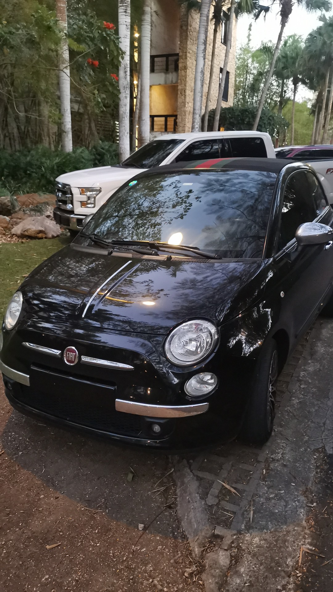 carros - Fiat 500 edición Gucci 2014