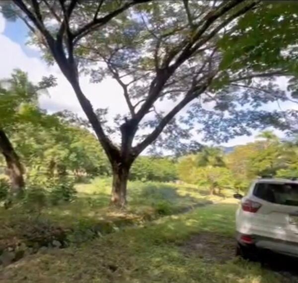 solares y terrenos - Finca de 63 tarea ubicada a 15 minutos del centro de Puerto Plata 3