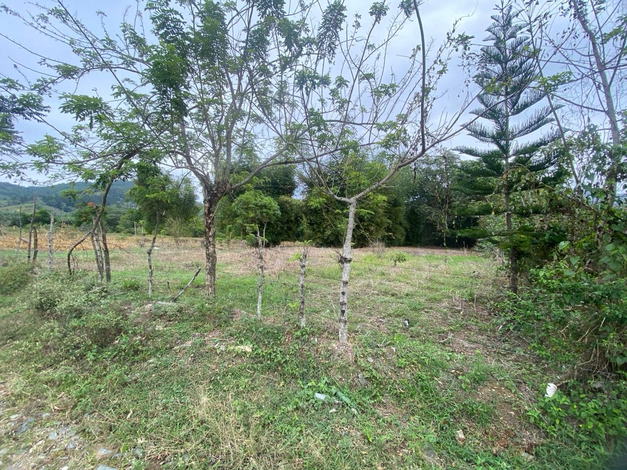 solares y terrenos -  Para amantes de la naturaleza Vendo Terreno en la cumbre de Villa Altagracia. 9