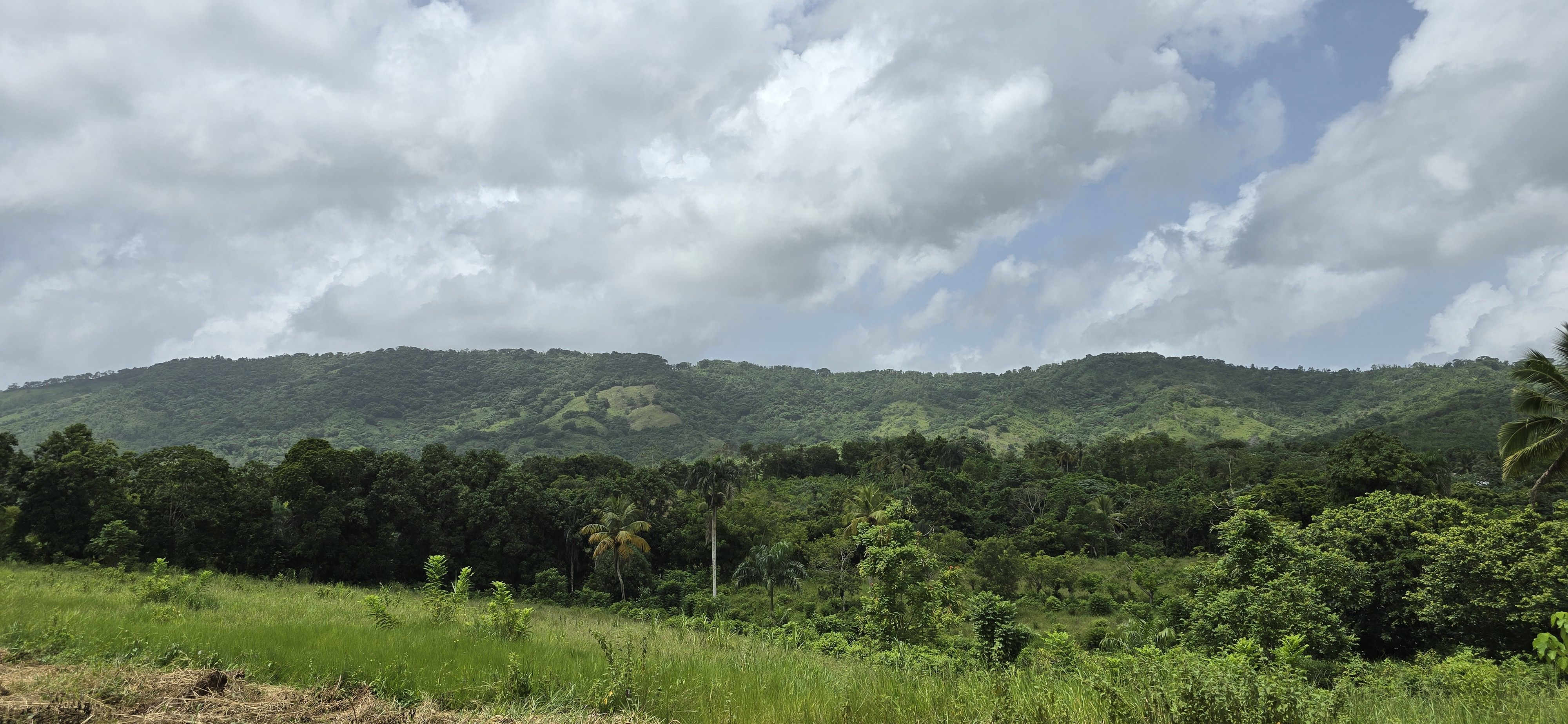 solares y terrenos - Terreno en Venta en Hato Viejo Yamasá desde 1,000 Mts, con vista hacia el Rio  4