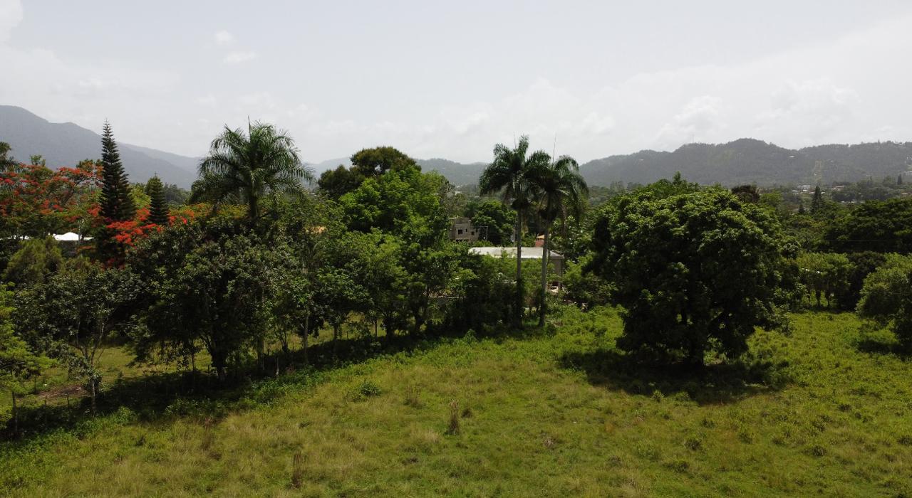 solares y terrenos - Terenos en venta en Jarabacoa 2