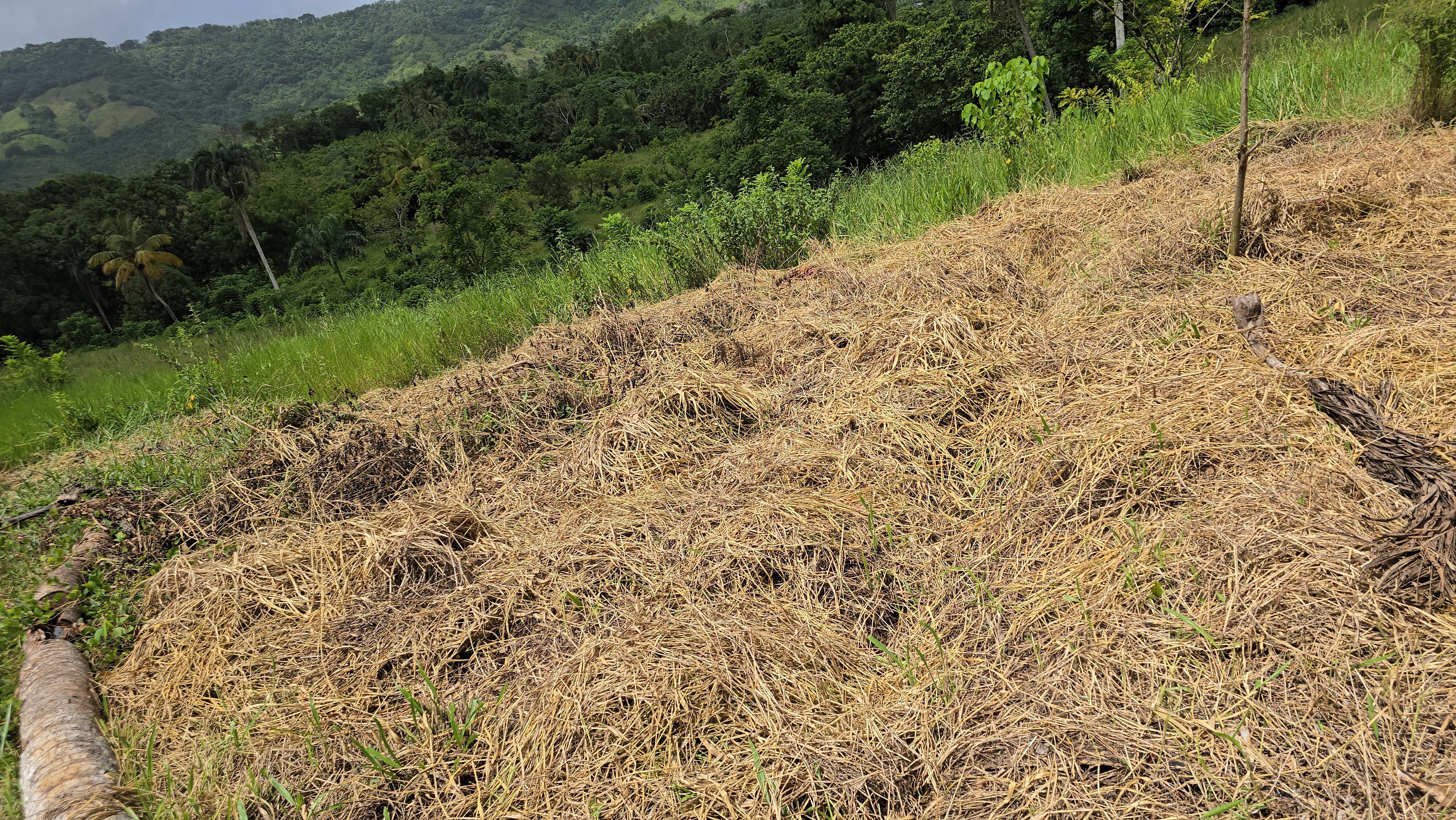 solares y terrenos - Terreno en Venta en Hato Viejo Yamasá desde 1,000 Mts, con vista hacia el Rio  5