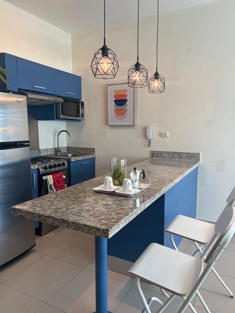 apartamentos - Apartamento amueblado moderno de 1 habitacion en Mirador Sur 4