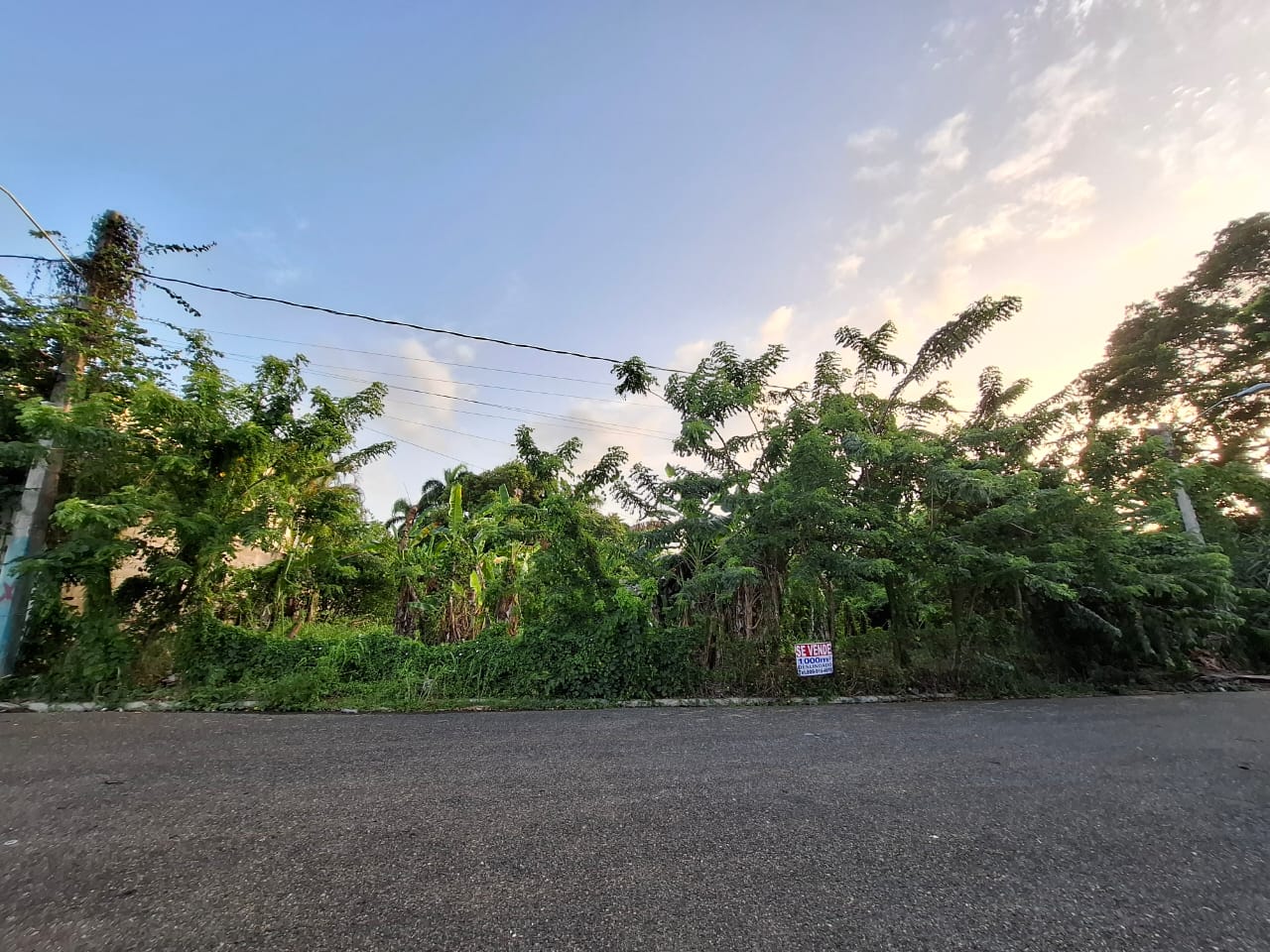 solares y terrenos - Solar en venta 1000 M2, deslindado, Puerto Plata