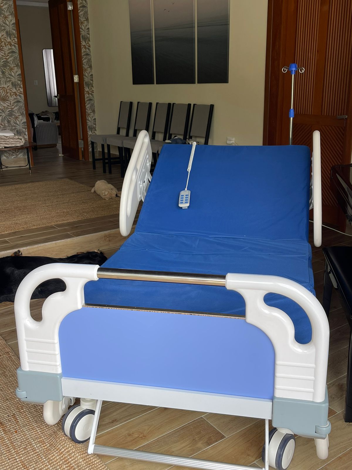 equipos profesionales - Cama de hospital electrica