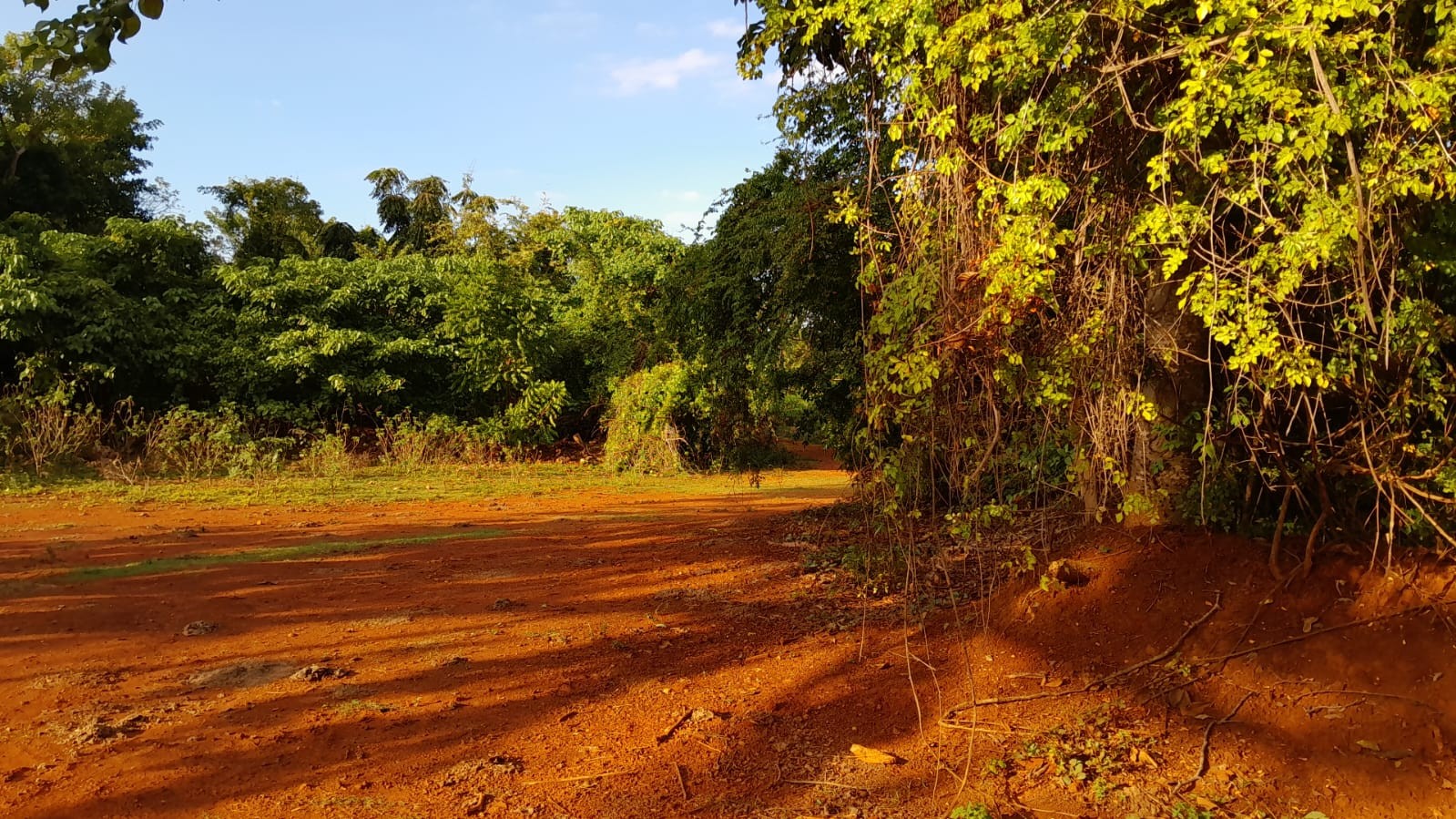 solares y terrenos - terreno de oportunidad , precio US$30 m2 1