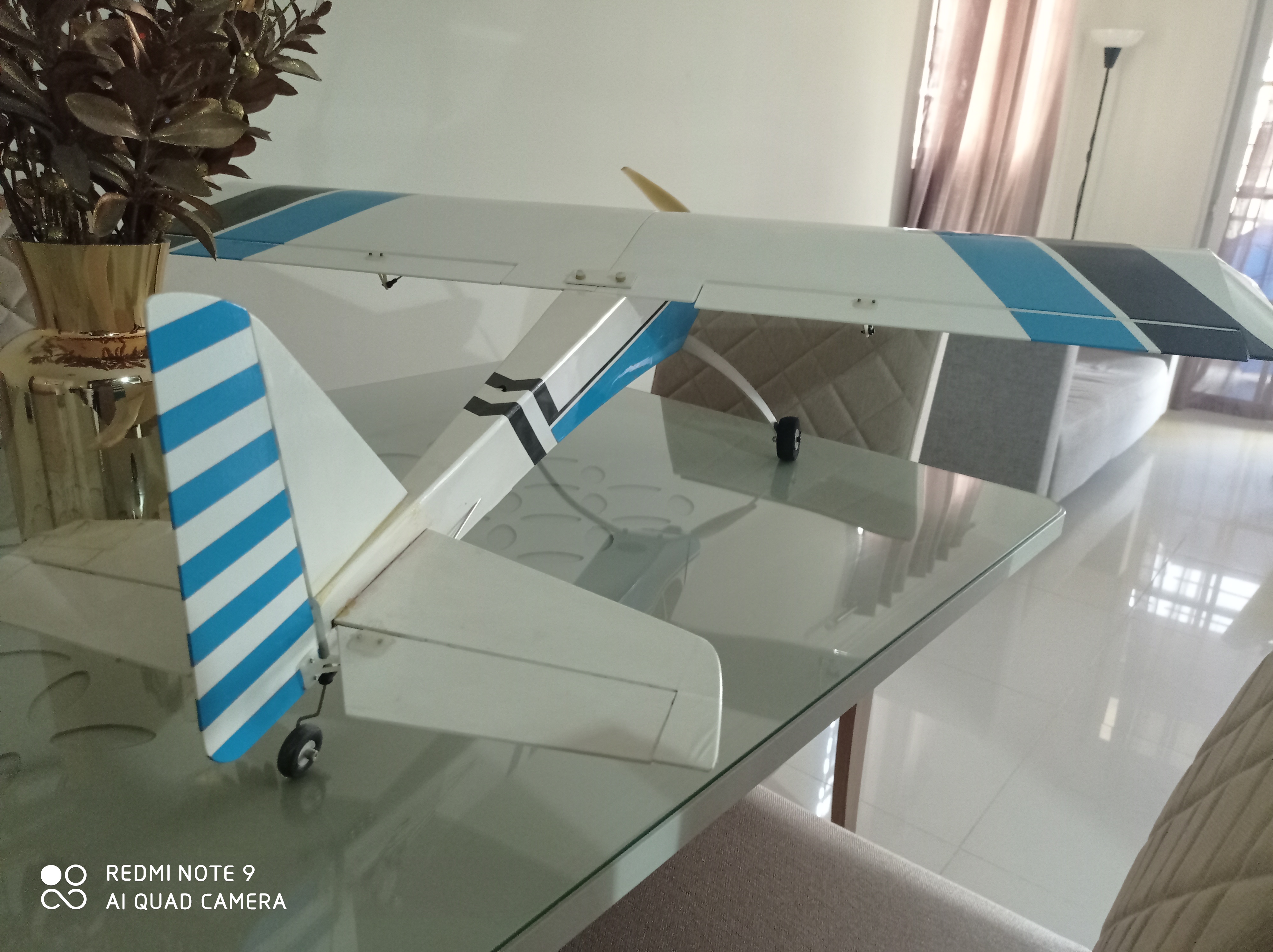 hobby y coleccion - Avioneta RC WOT 4