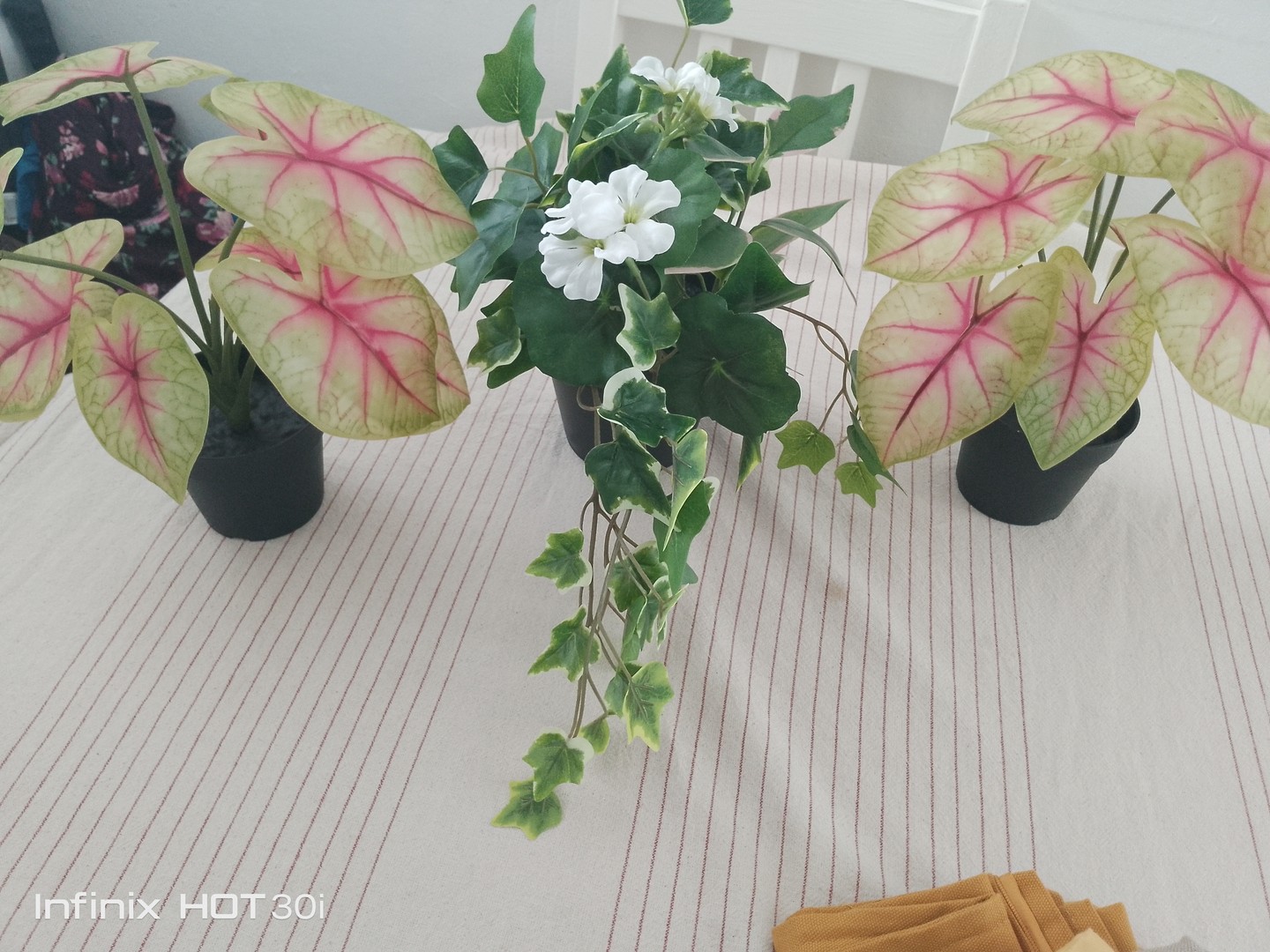 decoración y accesorios - Plantas artificiales 