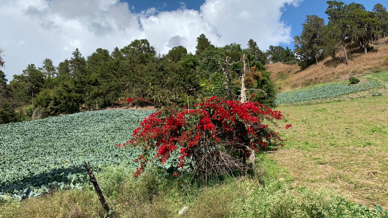 solares y terrenos - Venta de Solares en Constanza Excelente Ubicación! 1