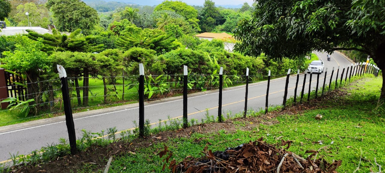 solares y terrenos - Vendo terrenos en Jarabacoa
Ubicados en Buena Vista Jarabacoa
