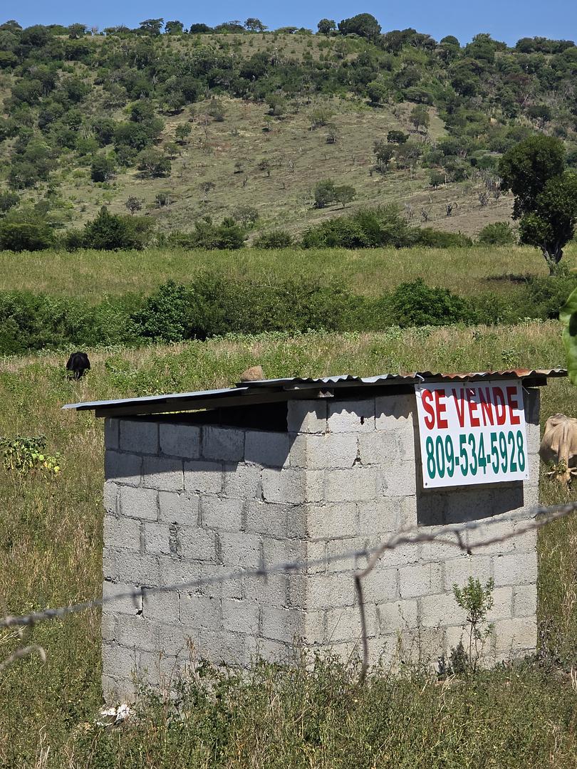 solares y terrenos - Terreno agrícola 4