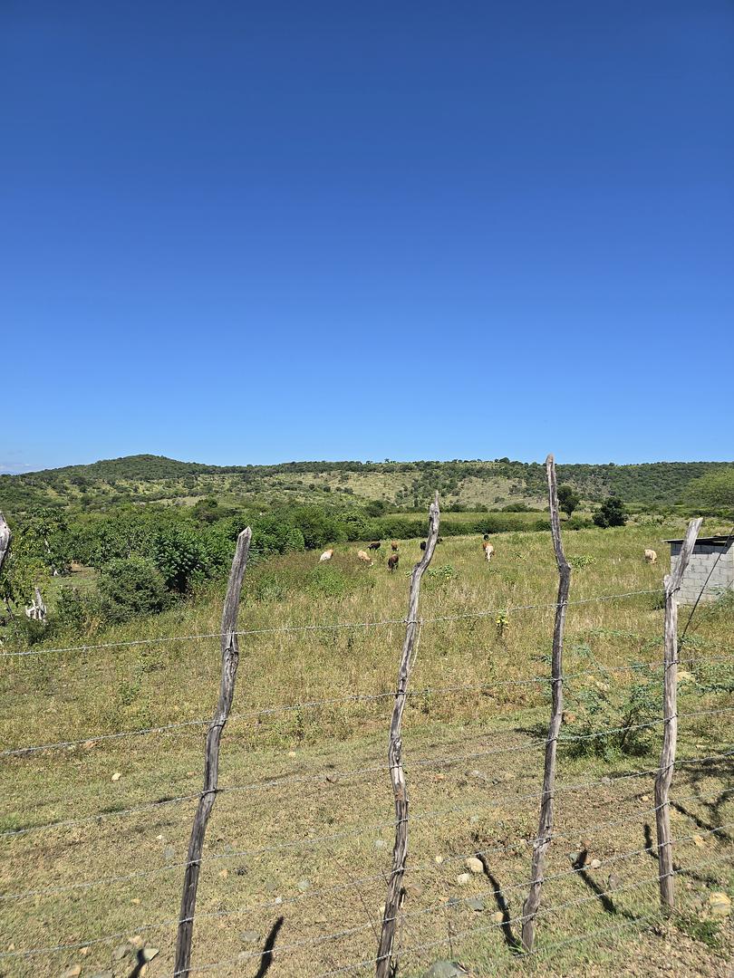 solares y terrenos - Terreno agrícola 1