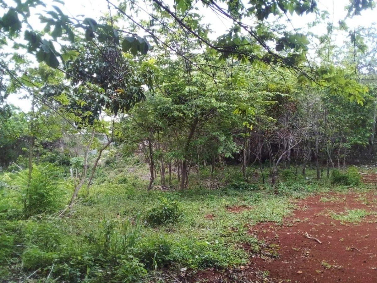 solares y terrenos - Terreno en centro ciutad de Las Galeras 8 US$ m2 3