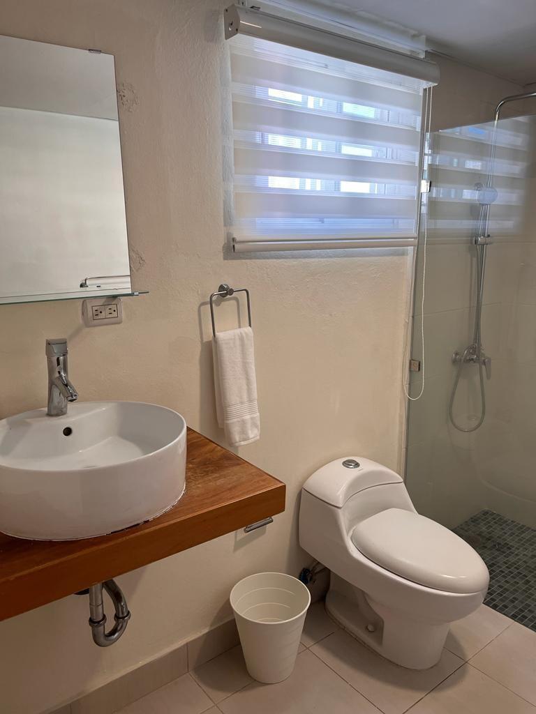 apartamentos - Apartamento amueblado moderno de 1 habitacion en Mirador Sur 9