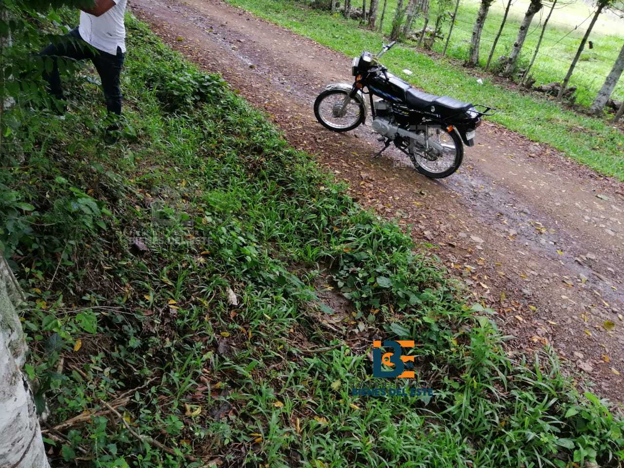 solares y terrenos - Se Vende Finca con 4.5 Tareas en Ramon Santana 5